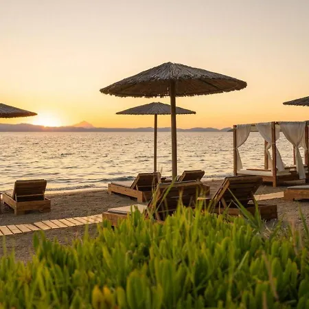 Holiday Home Theano